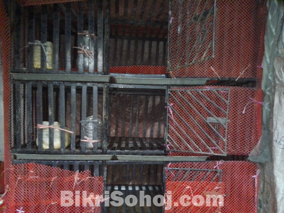 বড় খাঁচা